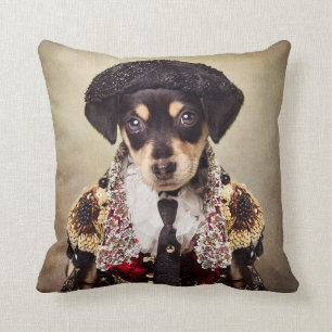 Shelter Pets Project - Josie Cushion