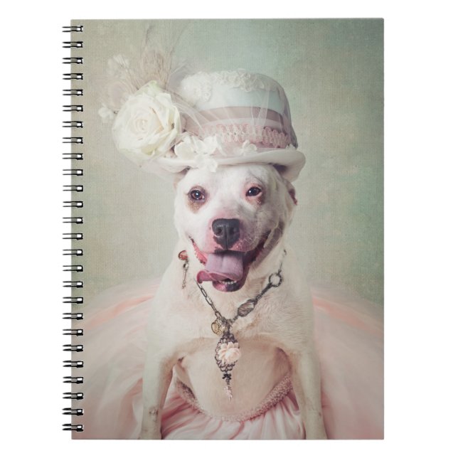 Shelter Pets Project - McKenzie Notebook (Front)