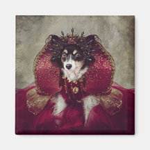 Shelter Pets Project - Peggy Sue