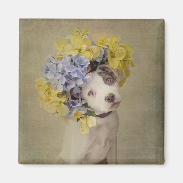 Shelter Pets Project - Rascal Magnet (Front)