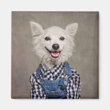 Shelter Pets Project - Tonka