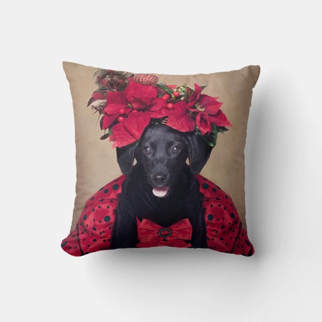 Shelter Pets Project - Twinkle Toes Cushion (Front)