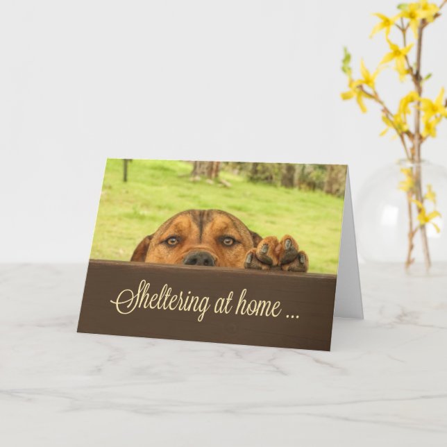 Sheltering At Home Support Card Corona Virus (Yellow Flower)