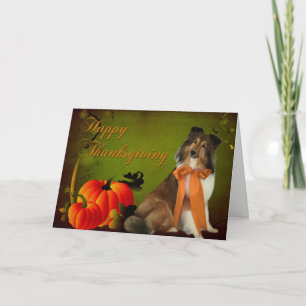 Sheltie #2 Thanksgiving Card