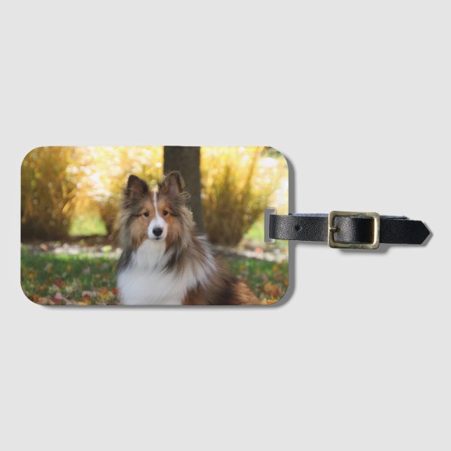 Sheltie Acrylic Luggage Tag (Front Horizontal)