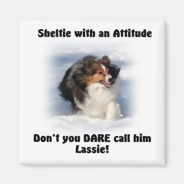 Sheltie Attitude Magnet (Front)