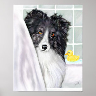 Sheltie Bath Bi Black Poster
