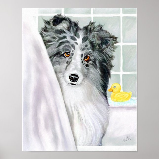 Sheltie Bath Bi Blue Poster (Front)
