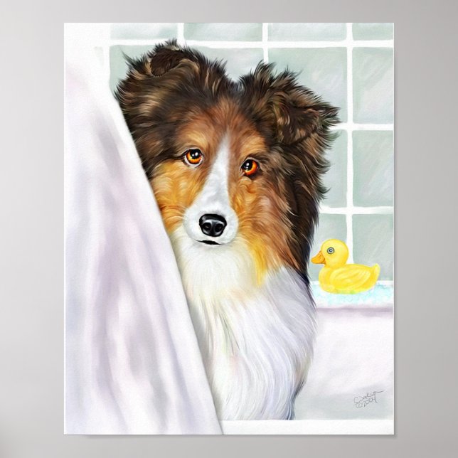 Sheltie Bath Sable Poster (Front)
