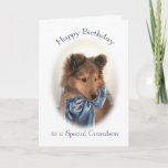 Sheltie Birthday Card for Grandson<br><div class="desc">This adorable Shetland Sheepdog puppy birthday card is almost as cute as your grandson!</div>