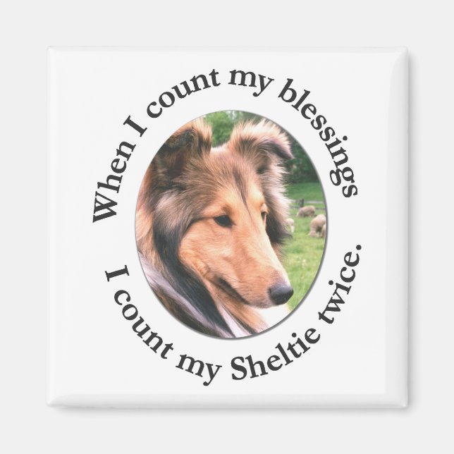 Sheltie Blessing Magnet (Front)