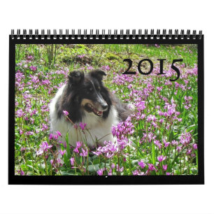 Sheltie Calendar