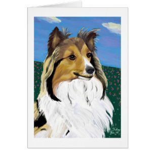 Sheltie card