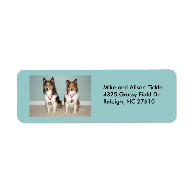 Sheltie Champs! Return Address Label (Front)