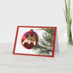 Sheltie Christmas Card Ball Hanging