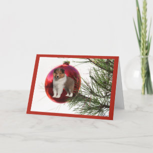 Sheltie Christmas Card Ball Hanging