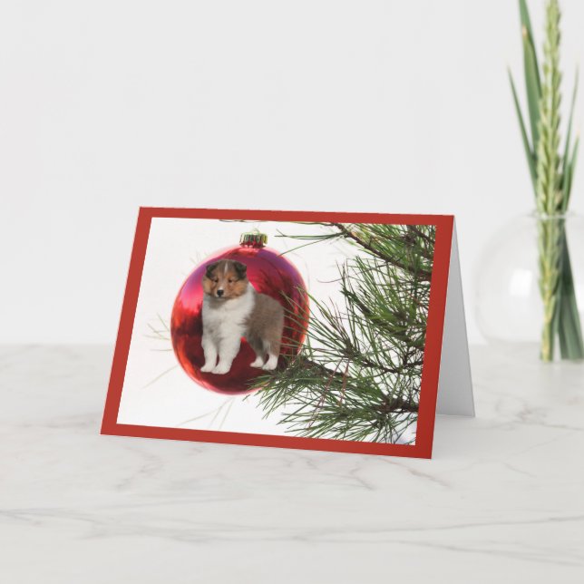 Sheltie Christmas Card Ball Hanging (Front)