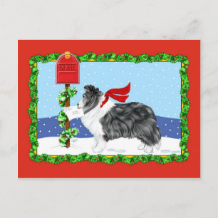 Sheltie Christmas Mail Bi Black Holiday Postcard