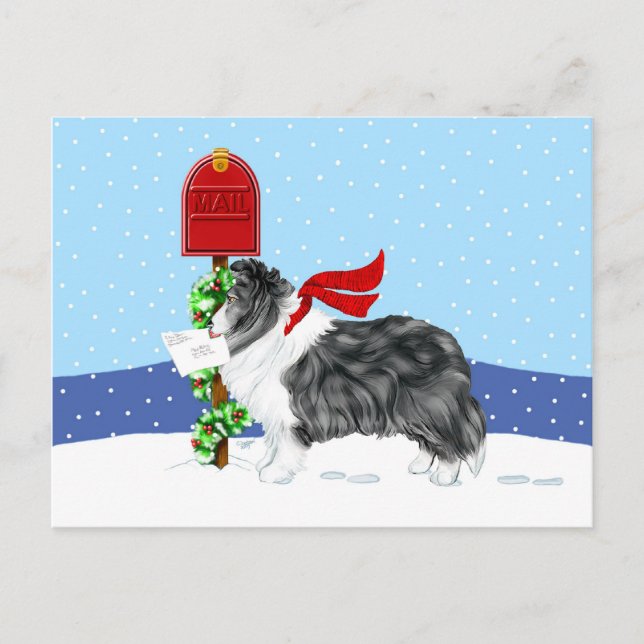 Sheltie Christmas Mail Bi Black Holiday Postcard (Front)