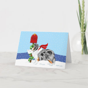 Sheltie Christmas Mail Blue Merle Holiday Card
