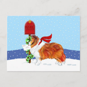 Sheltie Christmas Mail Sable Holiday Postcard