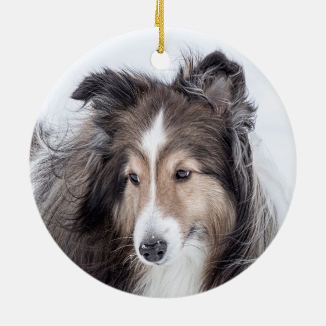 Sheltie Christmas Ornament (Back)