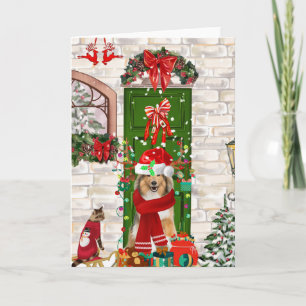 Sheltie Dog Christmas  Card