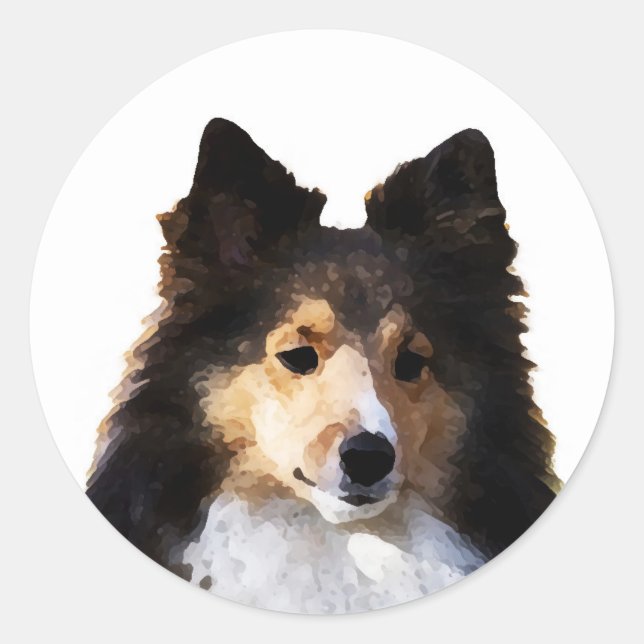 Sheltie Dog painting sketch Classic Round Sticker (Front)