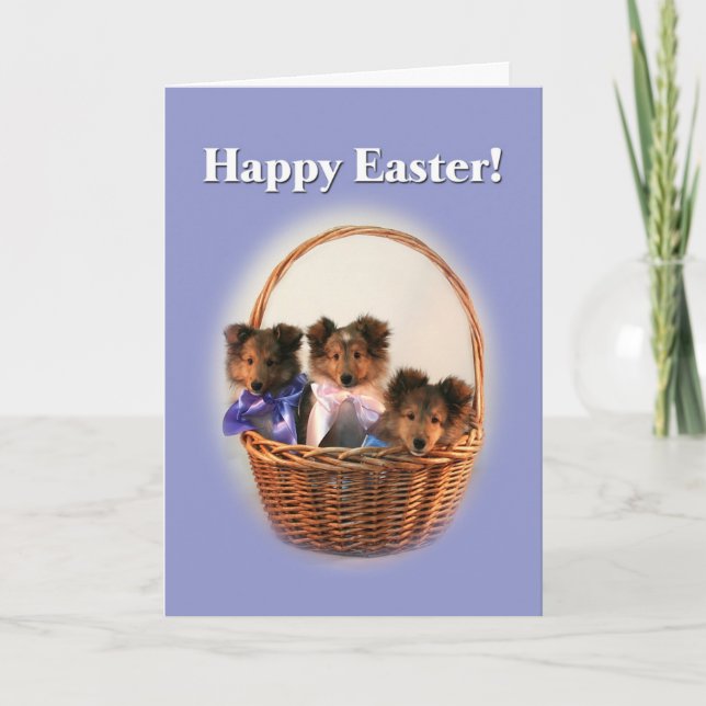 Sheltie Easter Basket Holiday Card (Front)