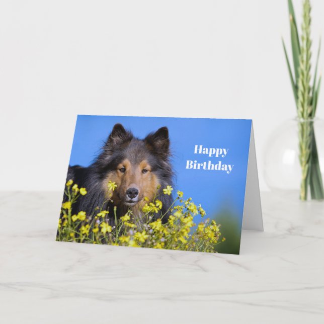 Sheltie Floral Photo Birthday Card (Front)