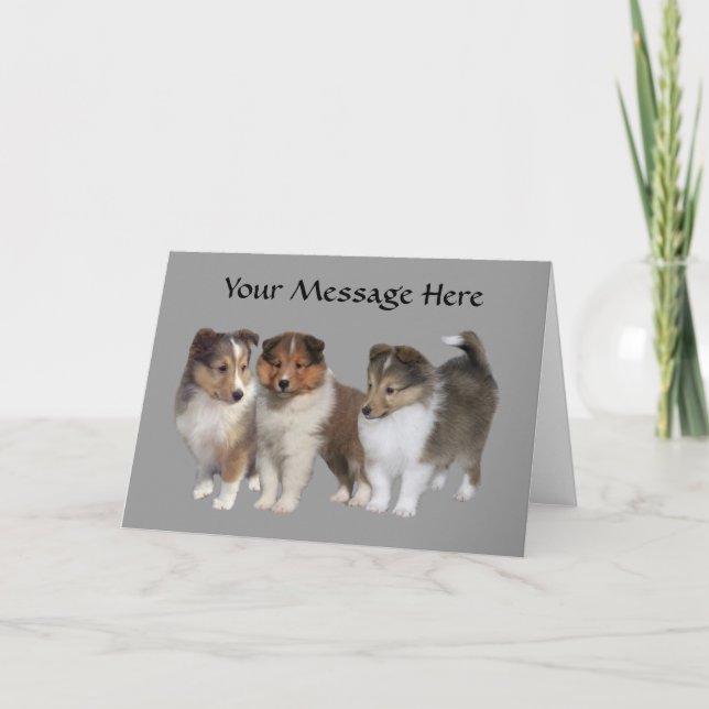 Sheltie Greeting Card (Front)