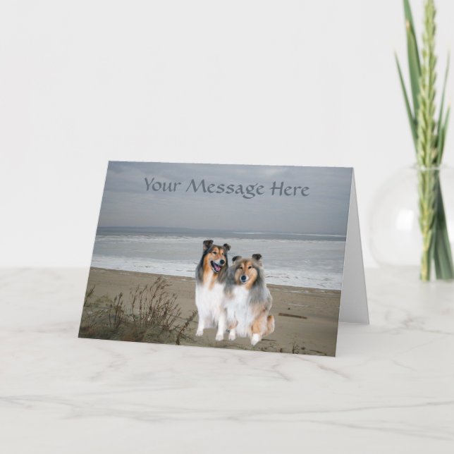 Sheltie Greeting Card (Front)