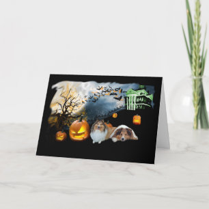 Sheltie Halloween Greeting Card