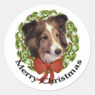 Sheltie Holiday #2 Sticker