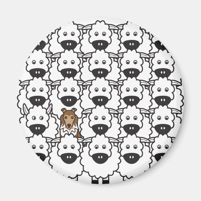 Sheltie in the Sheep Magnet (Front)