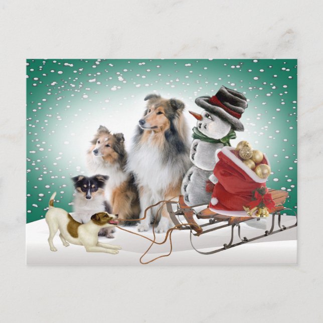 Sheltie, Jack Russell and Snowman Xmas Cards (Front)