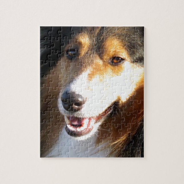 Sheltie Jigsaw Puzzle (Vertical)