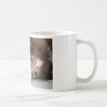 Sheltie Love mug<br><div class="desc">For the Shetland Sheepdog lover in your life. A great gift!</div>