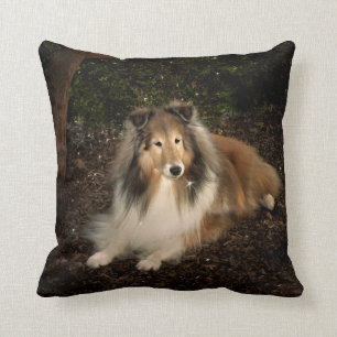 Sheltie Magic Pillow