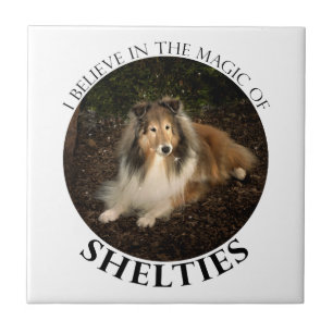 Sheltie Magic Tile
