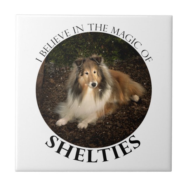 Sheltie Magic Tile (Front)