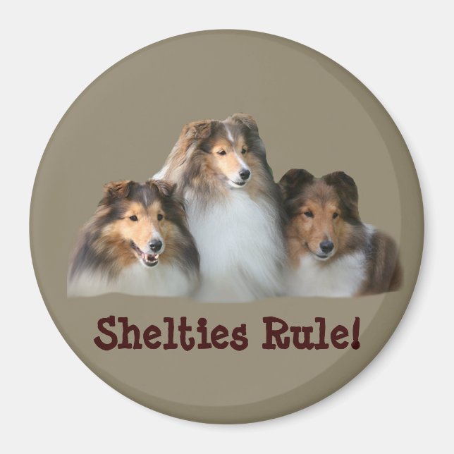 Sheltie Magnet (Front)