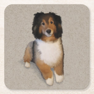 Sheltie mix dog portrait  square paper coaster