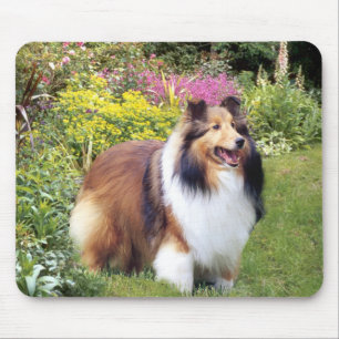 Sheltie Mousepad