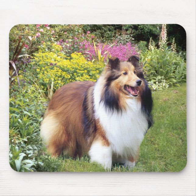 Sheltie Mousepad (Front)