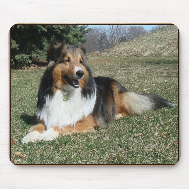 sheltie_mpad4 mouse pad (Front)