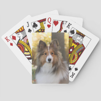 Sheltie Playing Cards