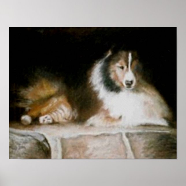 Sheltie Poster (Front)