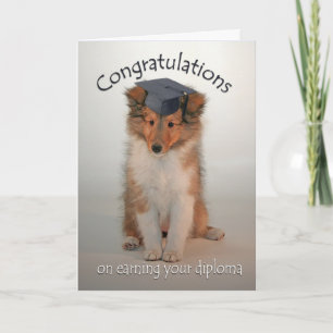 Sheltie Puppy Graduation Card