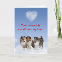 Sheltie Puppy Love Card